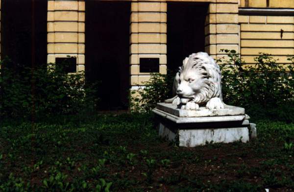 Наш лёва - единственный в Санкт-Петербурге лежащий лев